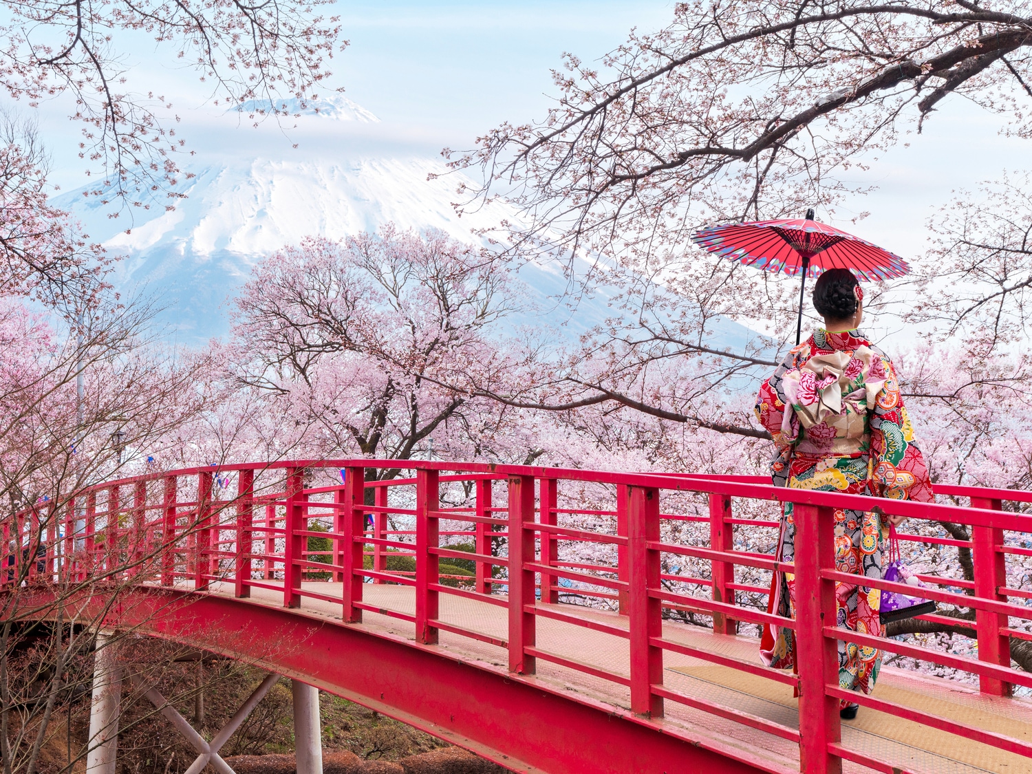  Japan Cruises 2025-2026