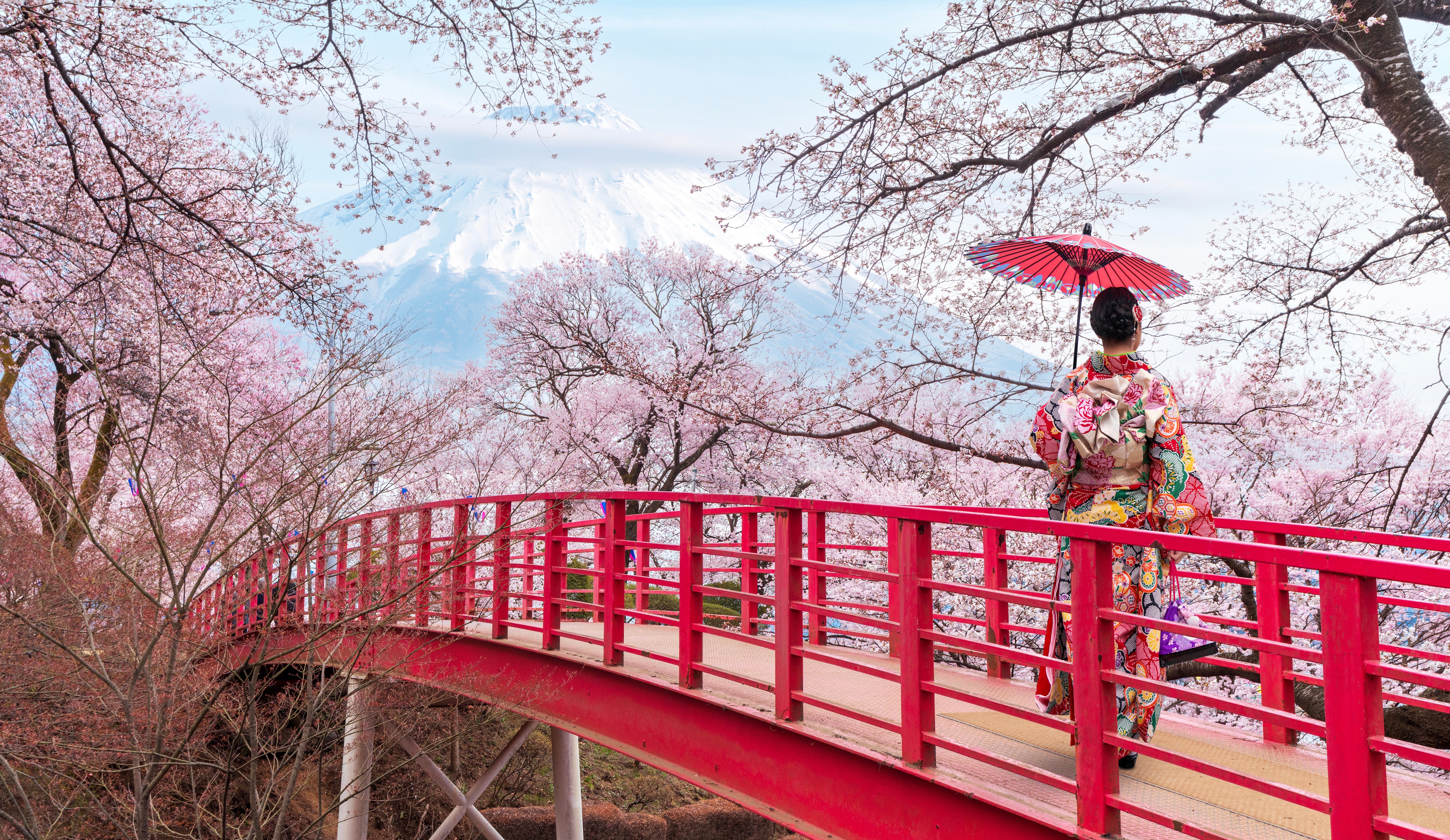 Japan Cruises 2025-2026