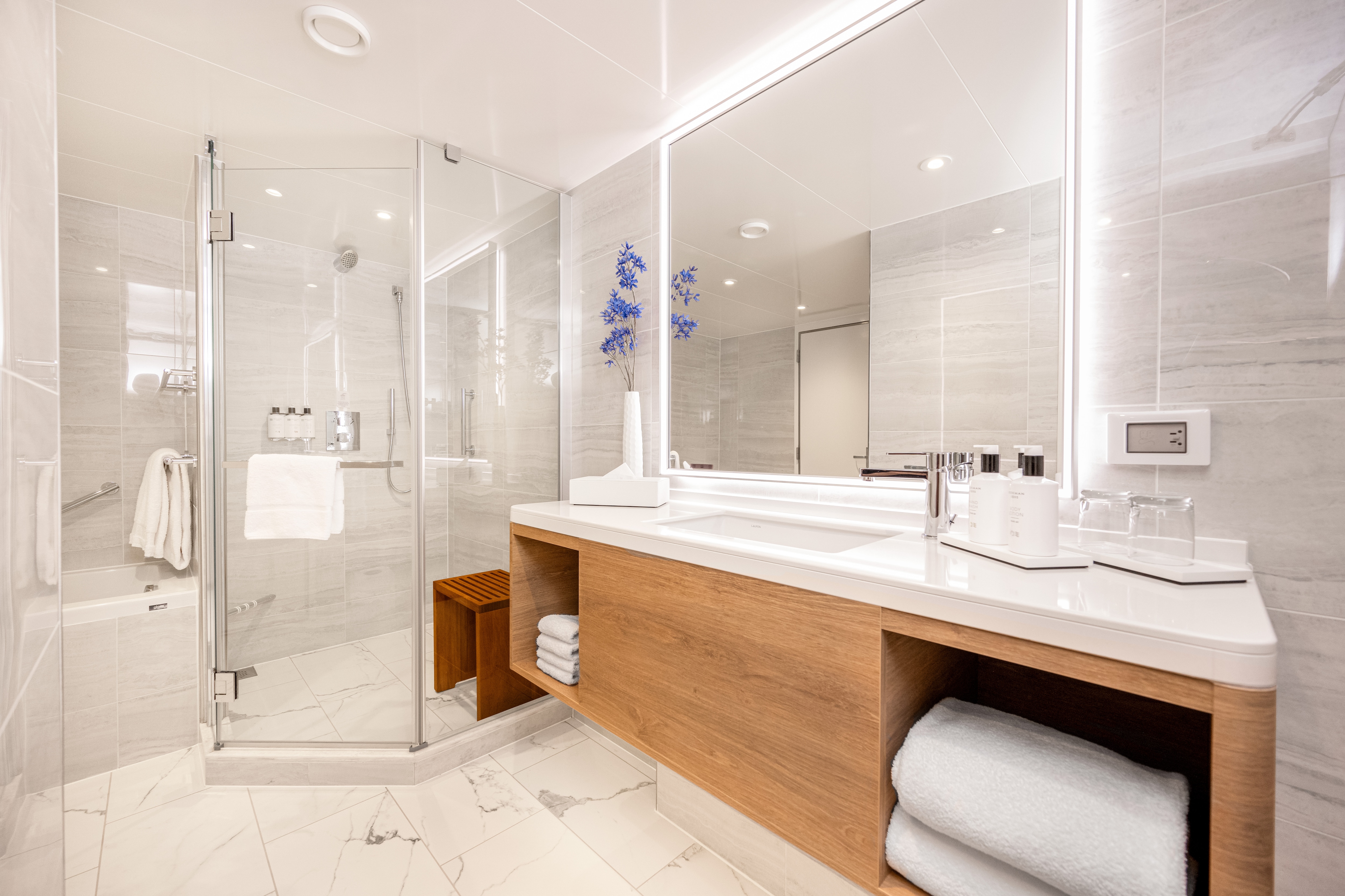 sanctuary grand suite wc